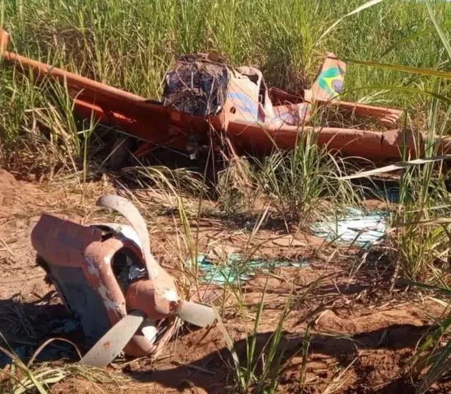 Avião cai em canavial e piloto sobrevive, no Paraná