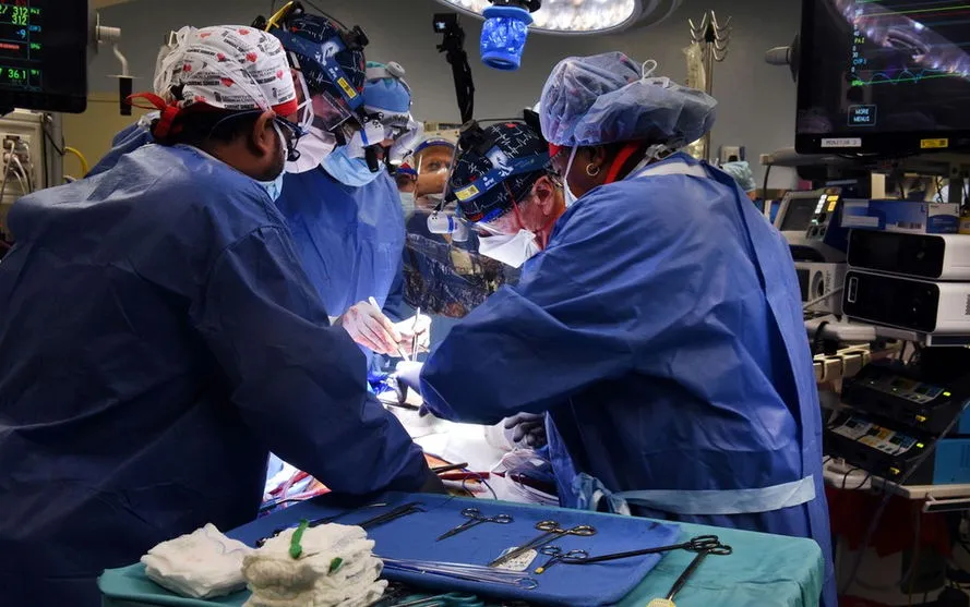Cirurgiões transplantam um coração de porco em um humano