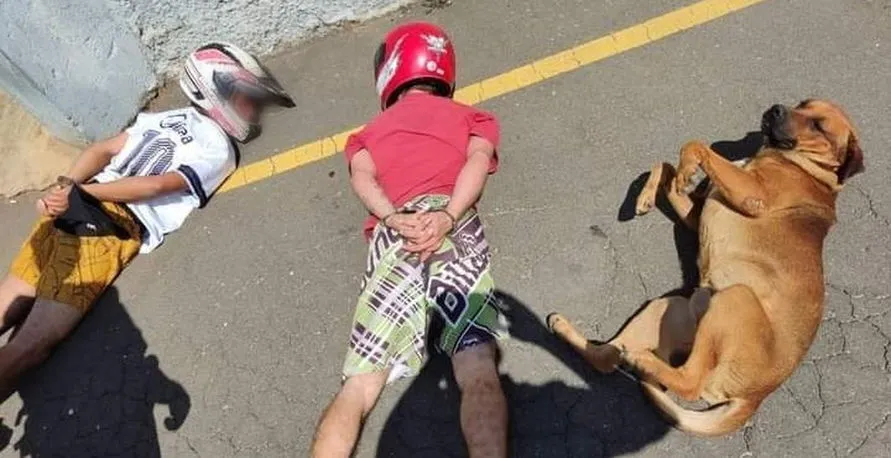 Cão deita ao lado de suspeitos durante abordagem no Paraná