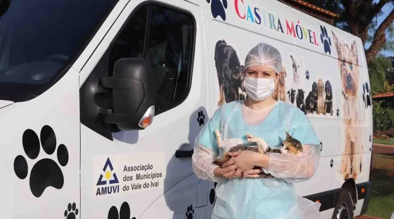Enquanto a Amuvi disponibiliza a veterinária Camila Agostinho, a Prefeitura oferece os medicamentos