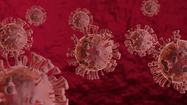 O País também registrou 350 novas mortes pelo coronavírus nas últimas 24 horas
