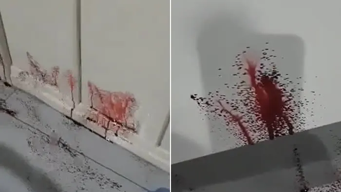 Vídeos que viralizaram nas redes sociais, mostram paredes e móveis do interior de uma residência “jorrando sangue”
