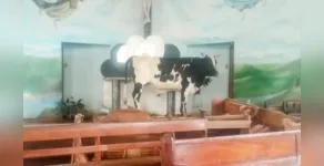  O animal entrou na igreja para se salvar 