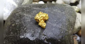  Pedidos de extração de ouro em 4 municípios do PR geram movimentação 