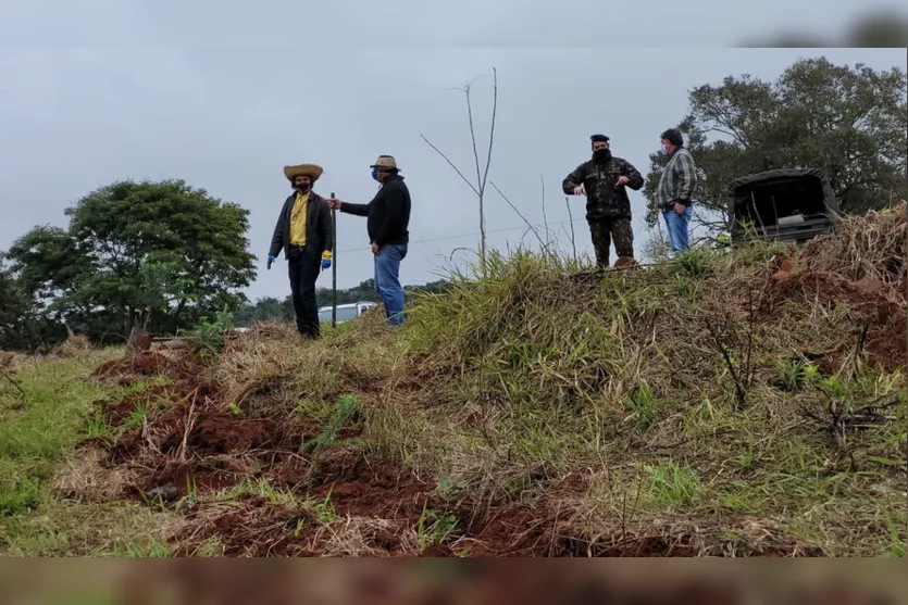 Militares realizam plantio de araucárias em Apucarana; veja