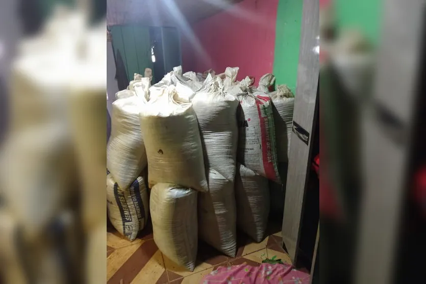 Polícia Militar recupera 5 toneladas de soja