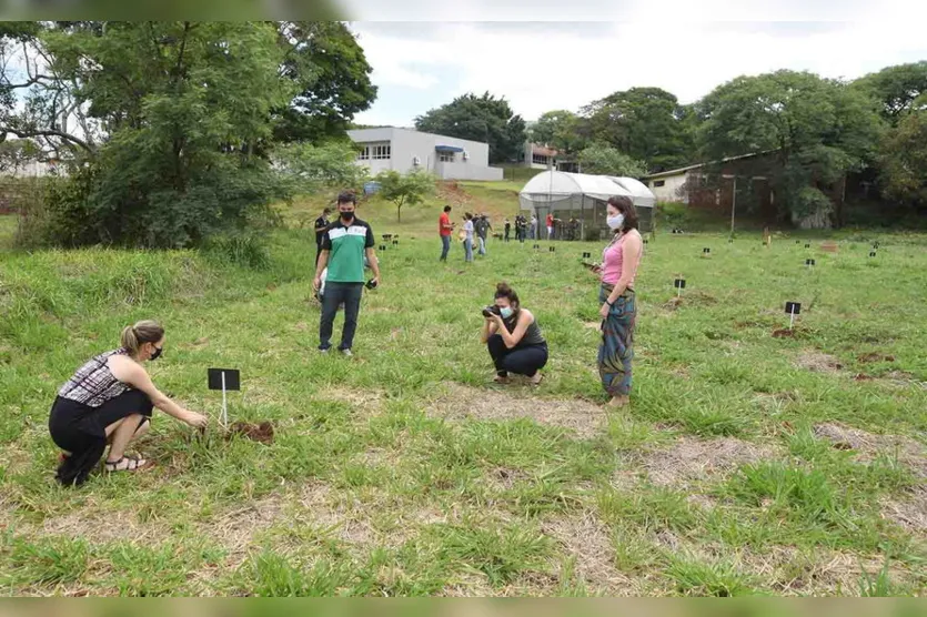 Projeto do IFPR de Ivaiporã realiza plantio de árvores