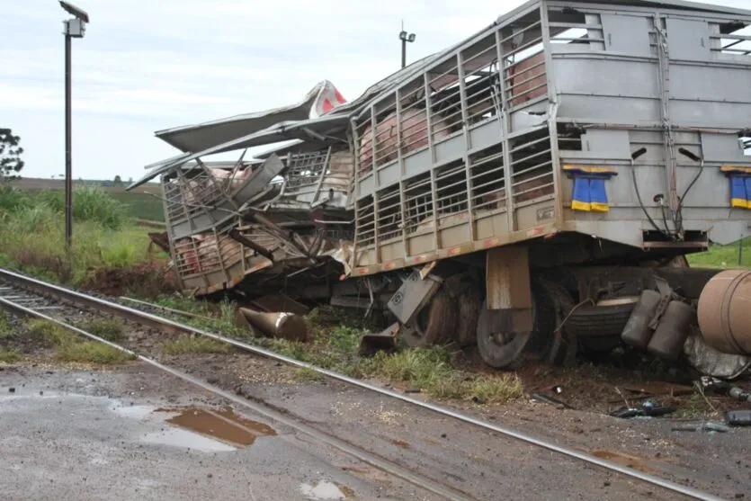 Carreta carregada com porcos é atingida por trem em Cambira
