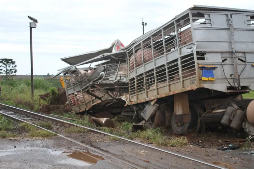 Carreta carregada com porcos é atingida por trem em Cambira