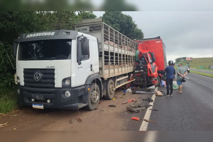 BR-376: caminhão carregado com porcos se envolve em acidente