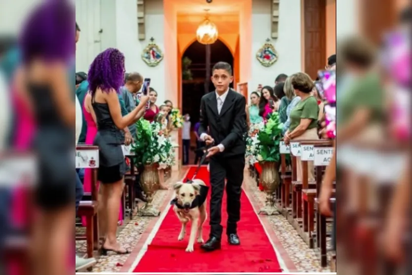 Padre encerra casamento após ver cães com alianças