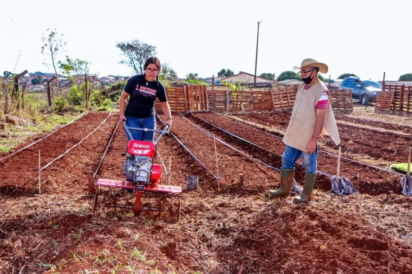 Apucarana: terreno no Centro Social Urbano ganha horta solidária