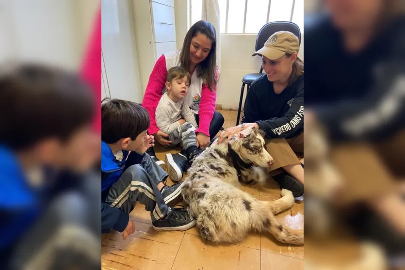 10º BPM inicia projeto 'Cão Amigo' em atividades de terapia assistida