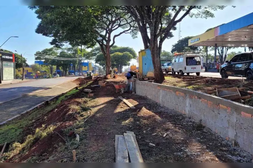 Prefeitura de Ivaiporã retira 14 árvores condenadas na Av. Brasil