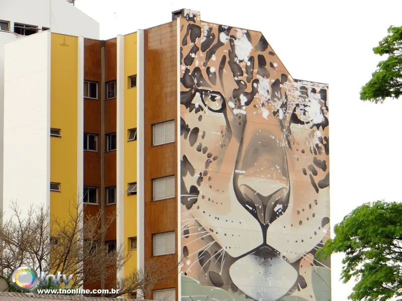 Pintura de onça em prédio vira patrimônio histórico de Apucarana - Foto: José Luiz Mendes